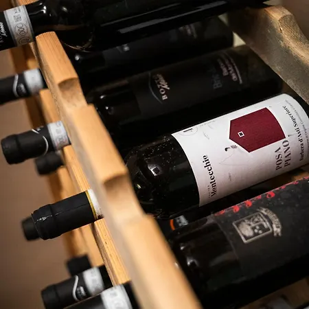 公寓 La Casa Della Maestra Carolina Ottiglio